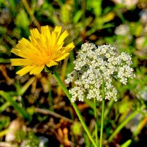 Interested in more then one item?